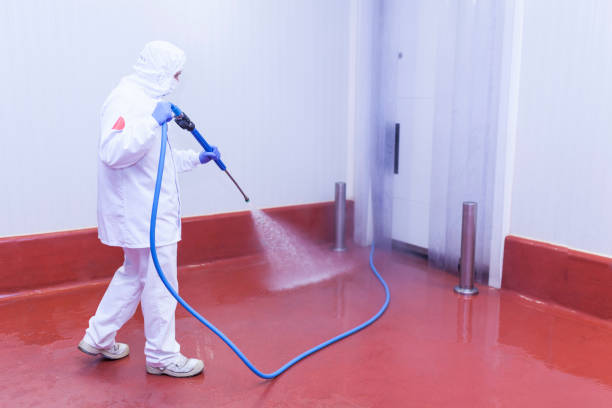 Professional Pressure Washing Services in Walnut, IL